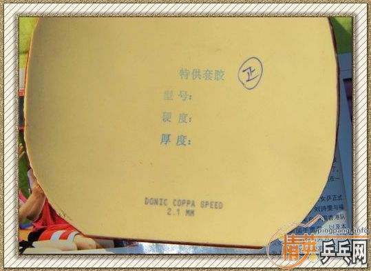 ��������ع�COPPASPEED��ɫ