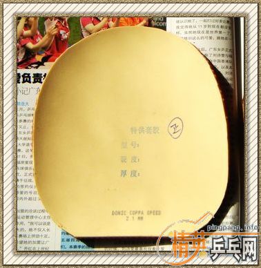 ��������ع�COPPASPEED��ɫ