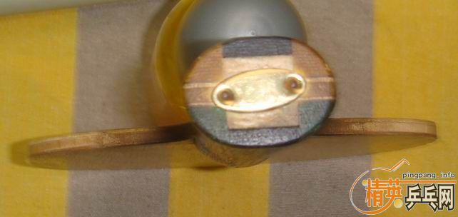 ����ͦ����ķ���ܣ��������ʣ��ʺ����治ͬ��Ƥ��ֻ��������