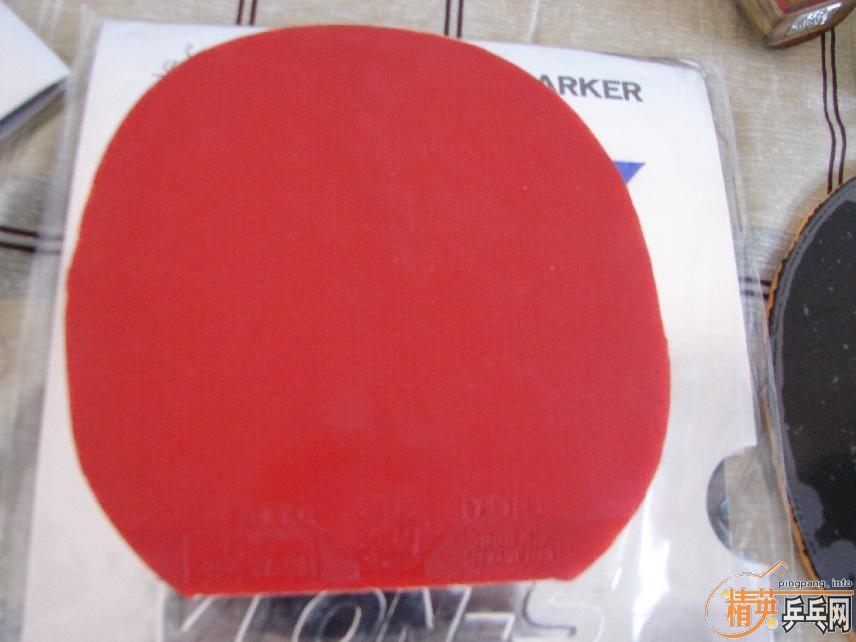 ����T2+2��729�׽�