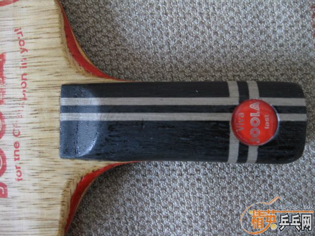 ֧�������ı���Joola VIVA