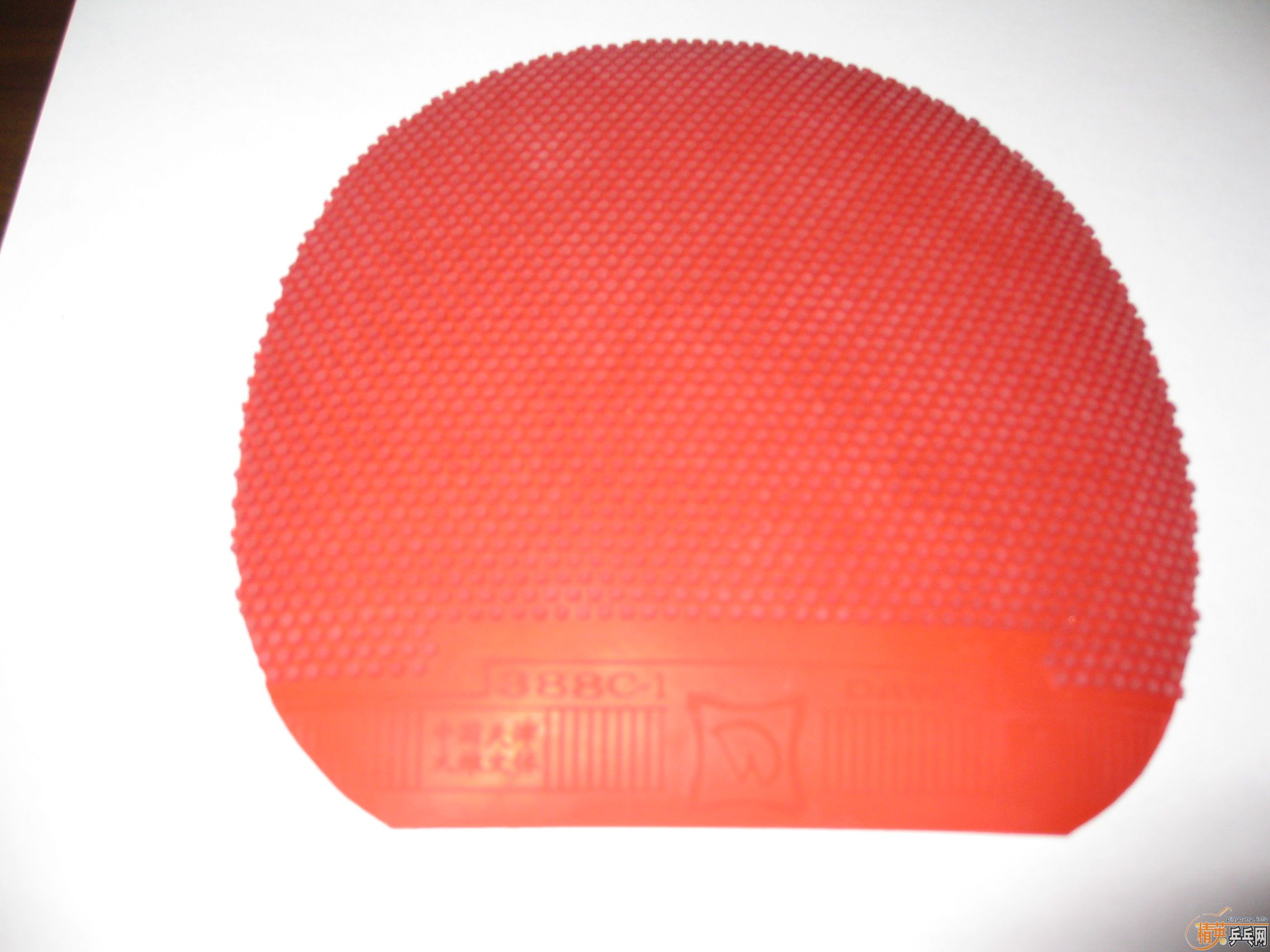 ���ų��µ�ֱ������M5�������׽�