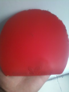 qq309287341,����ֹ����