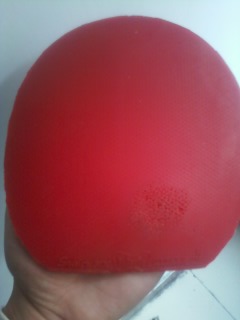 qq309287341,����ֹ����