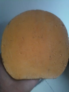 qq309287341,����ֹ����