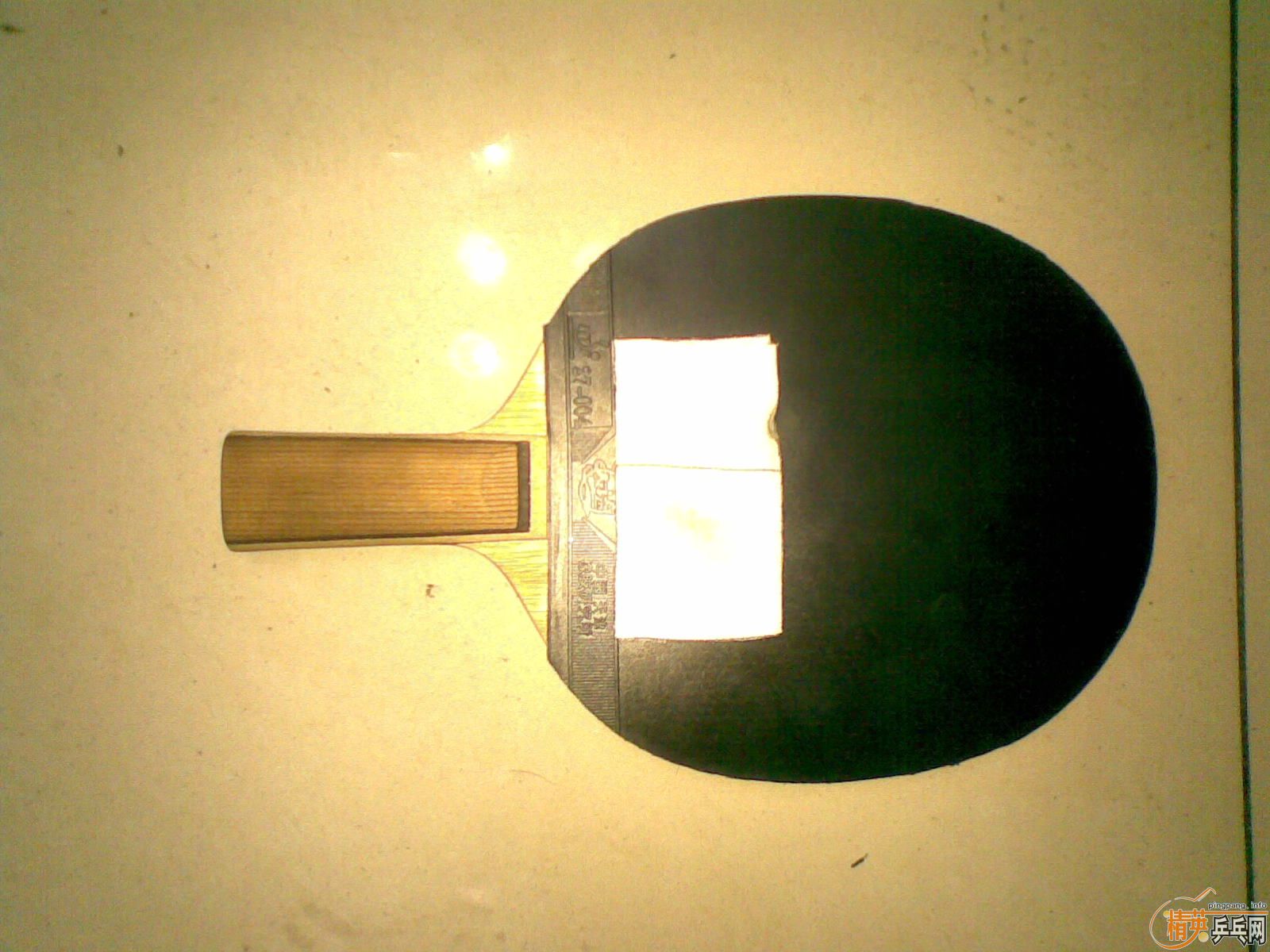 ֹ��ר�����������������������С��  ֧��������