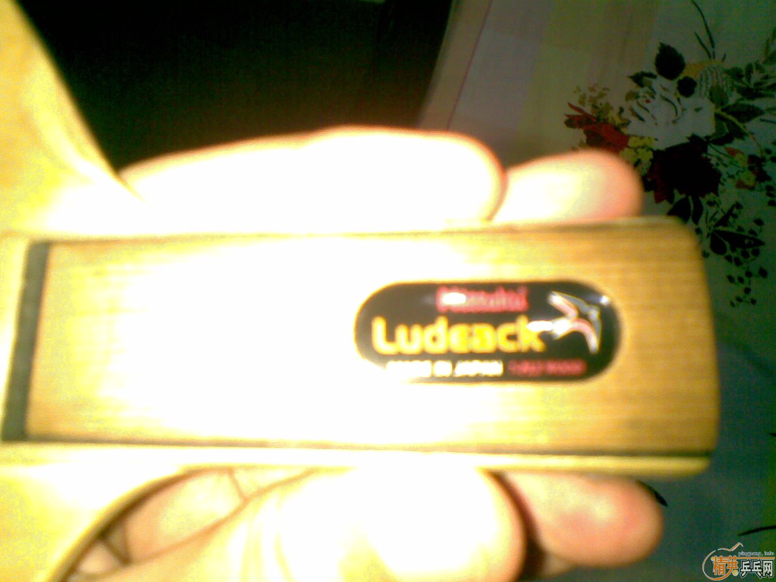 ֹ��ר�����������������������С��  ֧��������