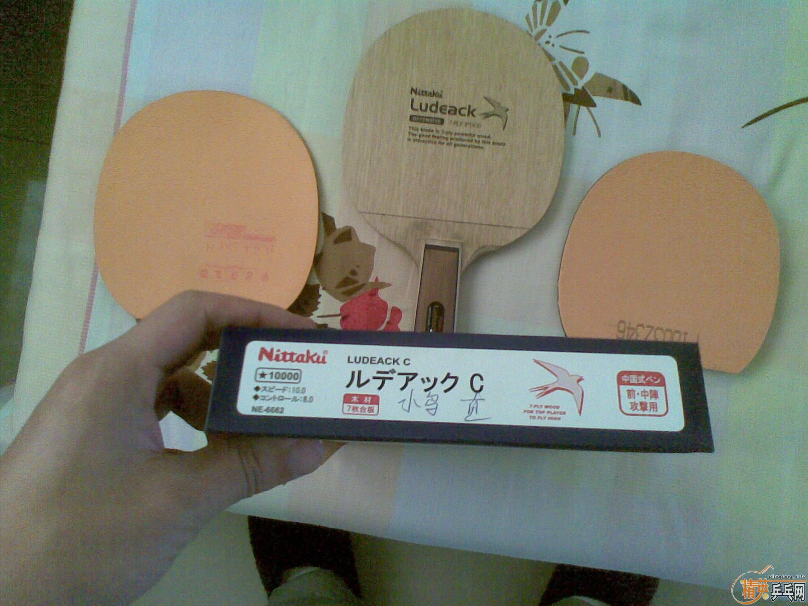 ֹ��ר�����������������������С��  ֧��������