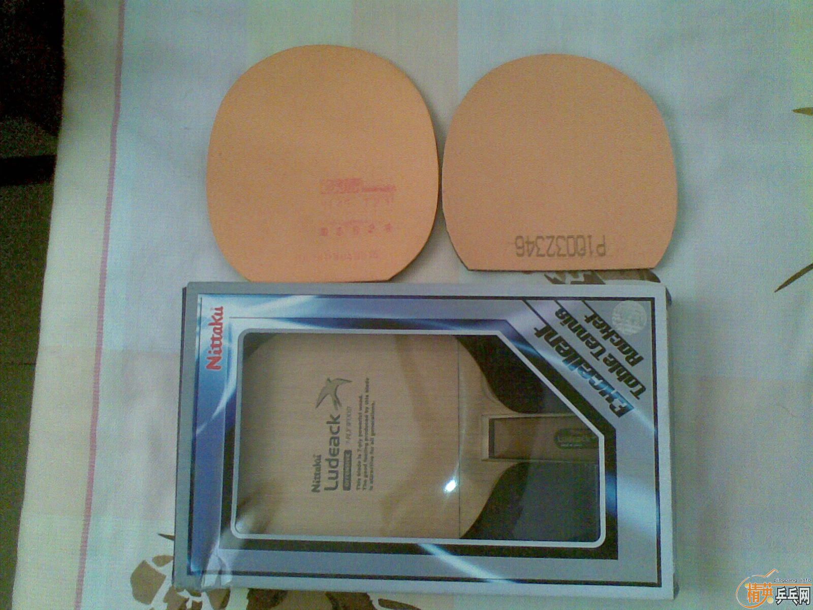 ֹ��ר�����������������������С��  ֧��������