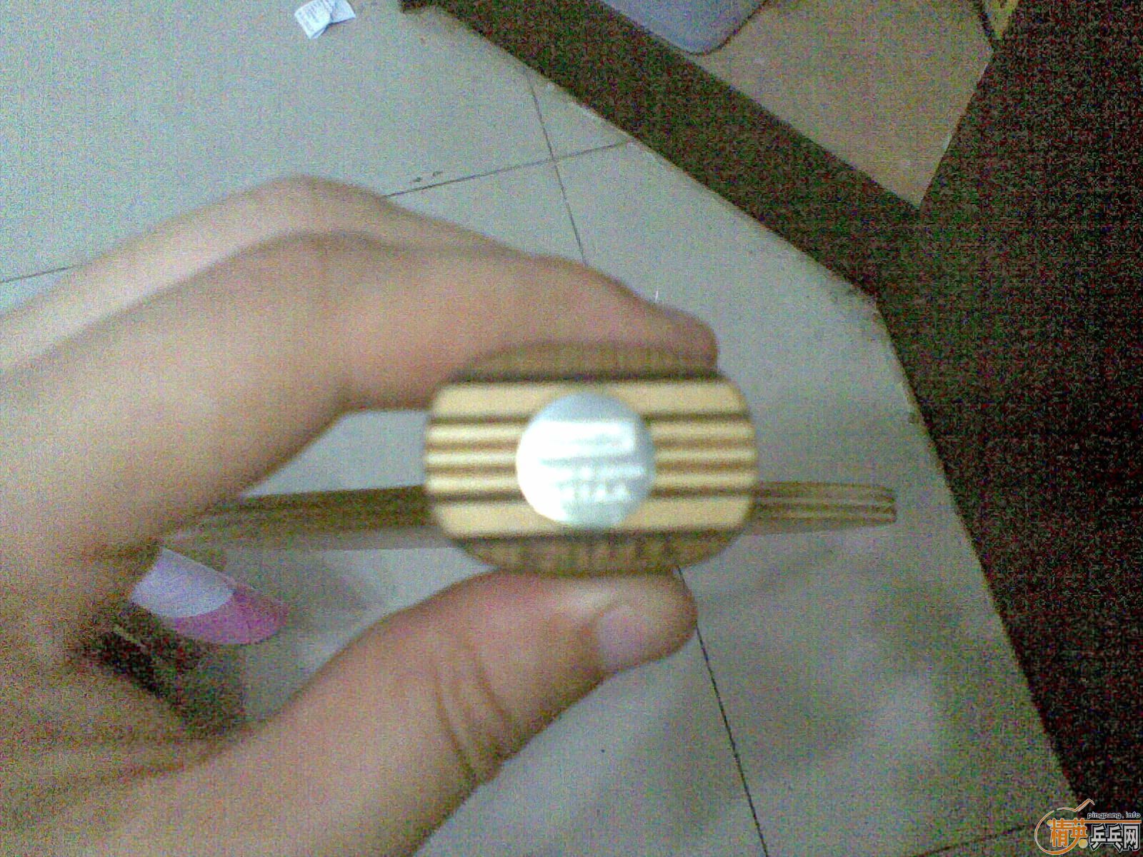 ֹ��ר�����������������������С��  ֧��������