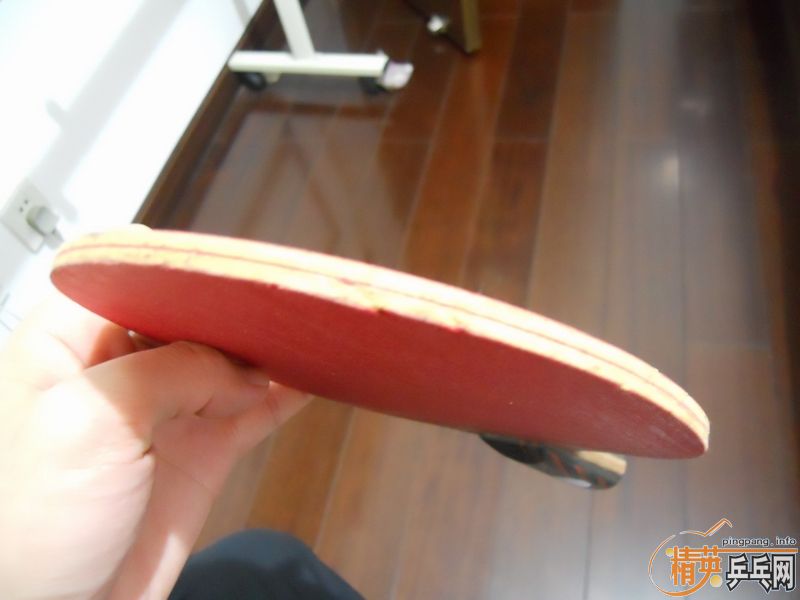 �ʺϺ��ĵװ�2ֻ