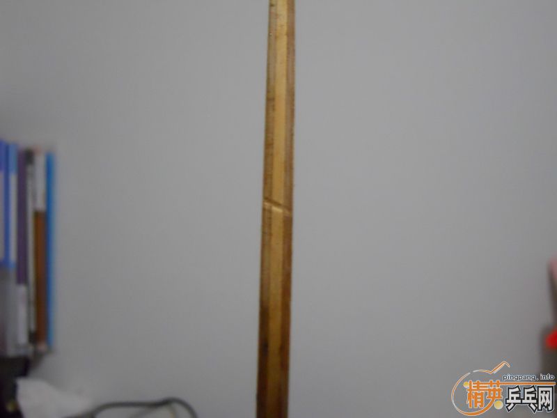 �ʺϺ��ĵװ�2ֻ