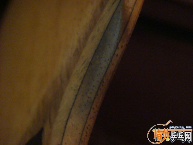 ����  350����