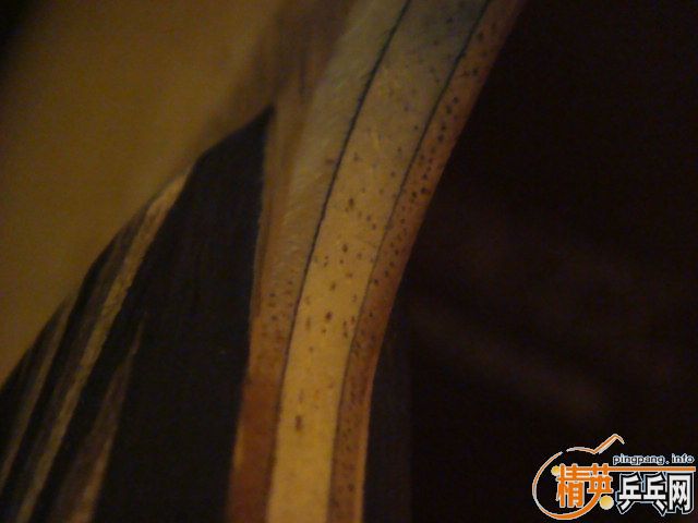 ����  350����