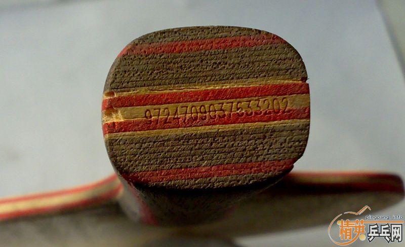 ���л���CL,VIVA