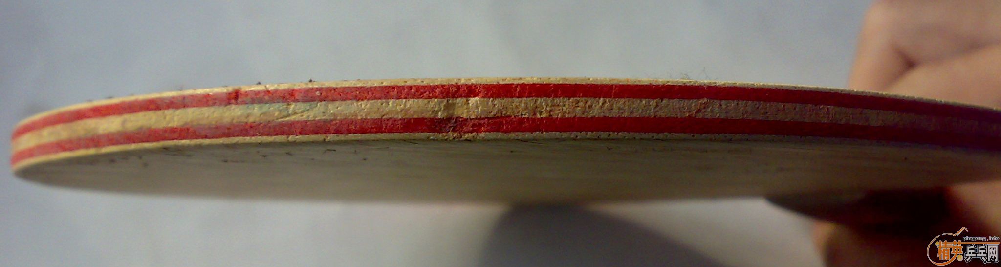 ���л���CL,VIVA