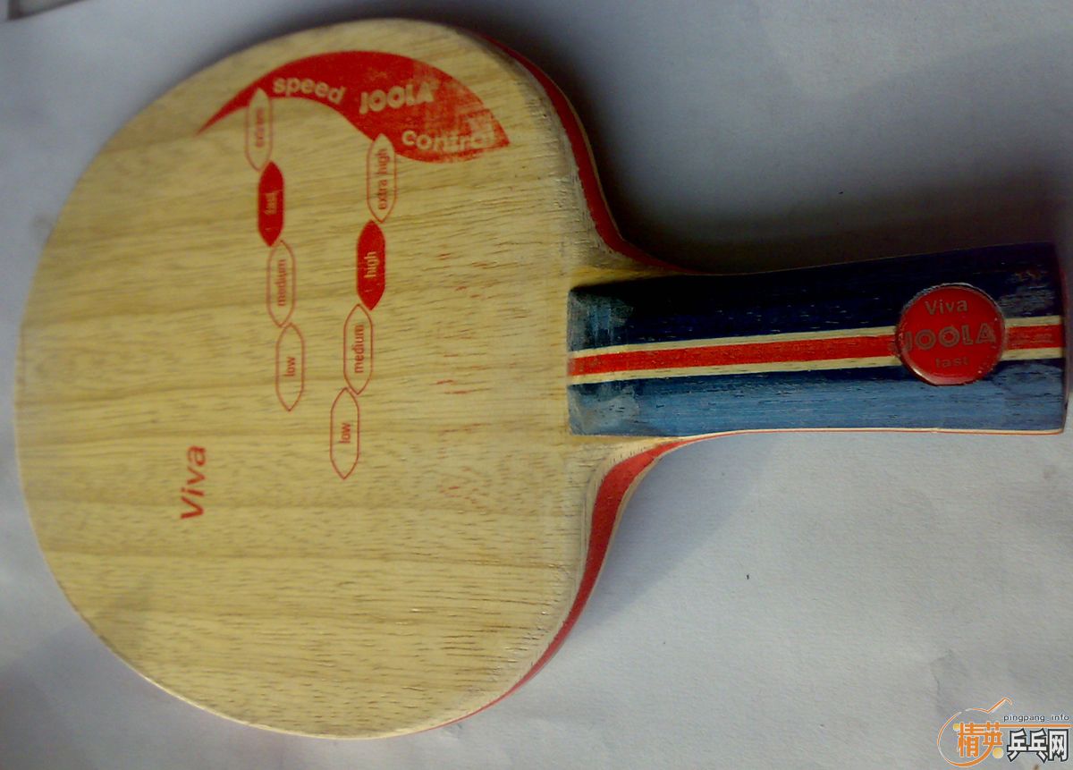 ���л���CL,VIVA