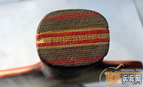 ���л���CL,VIVA