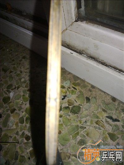 [ԭ��]��̼/֩����/st/86��/����һ����50/�۾�50/Ԥ���հ���ʧ30/420��