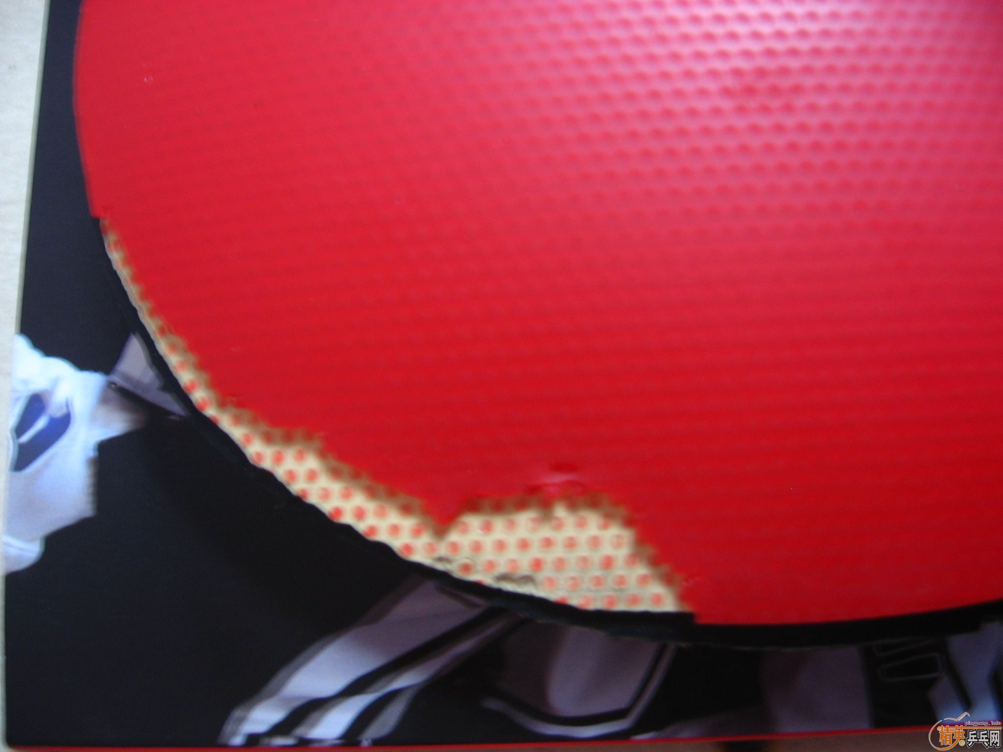 ���ѳ� ֱ��������F1   ��729����   45����