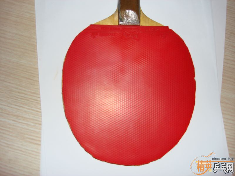 ������SRICER��ɫ