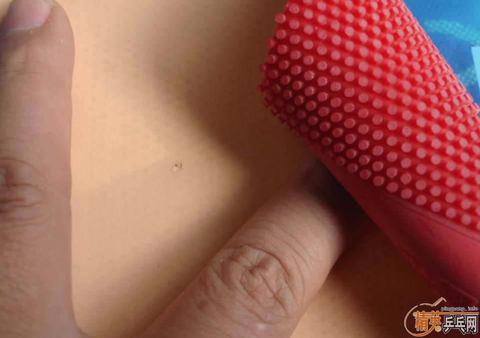 ��һ��ţ��ʿ�����׽�