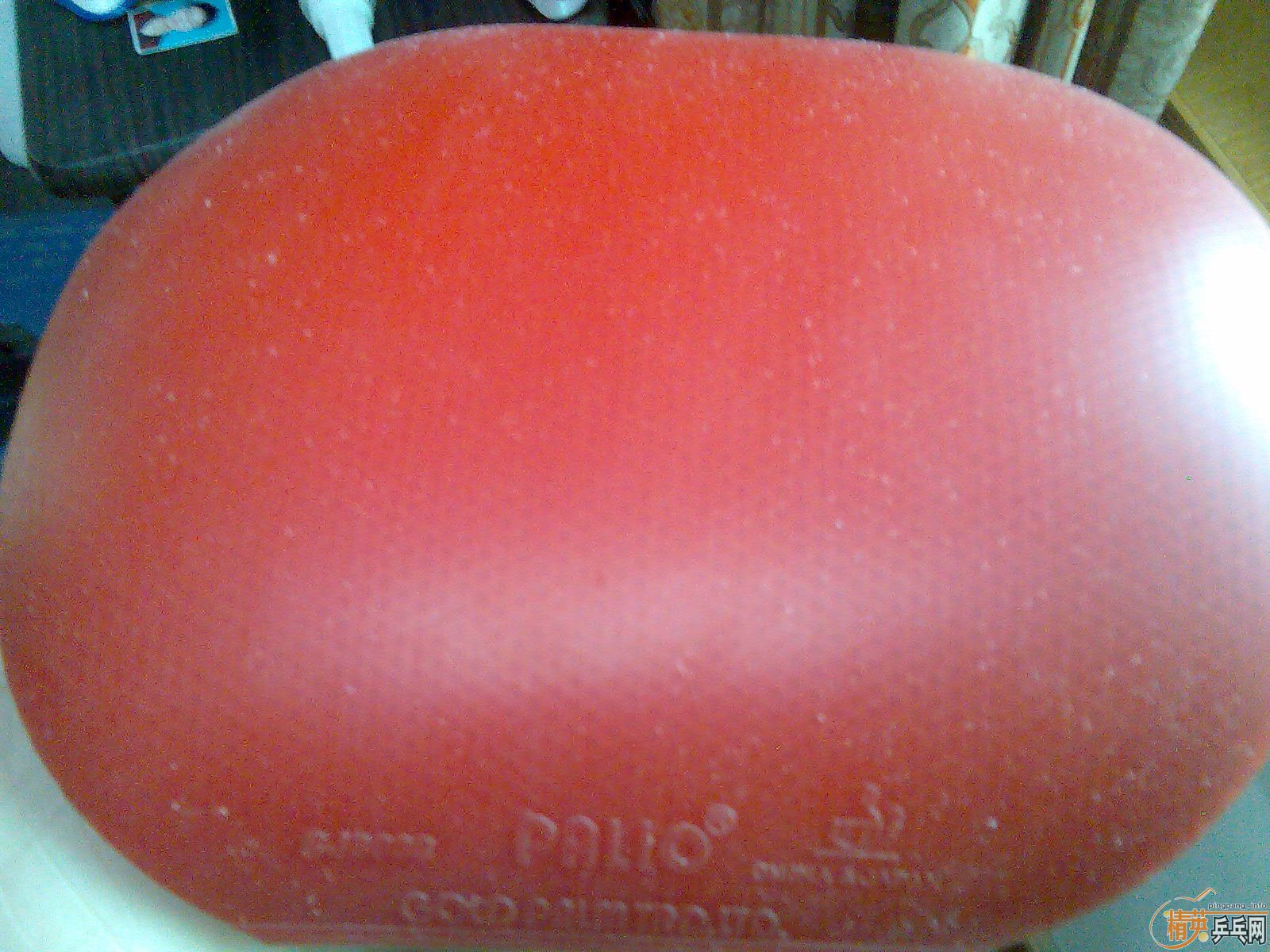 ���Լ����� ��ֱ��  ���ھ�����  ��ϳ�Щ��Ƥ