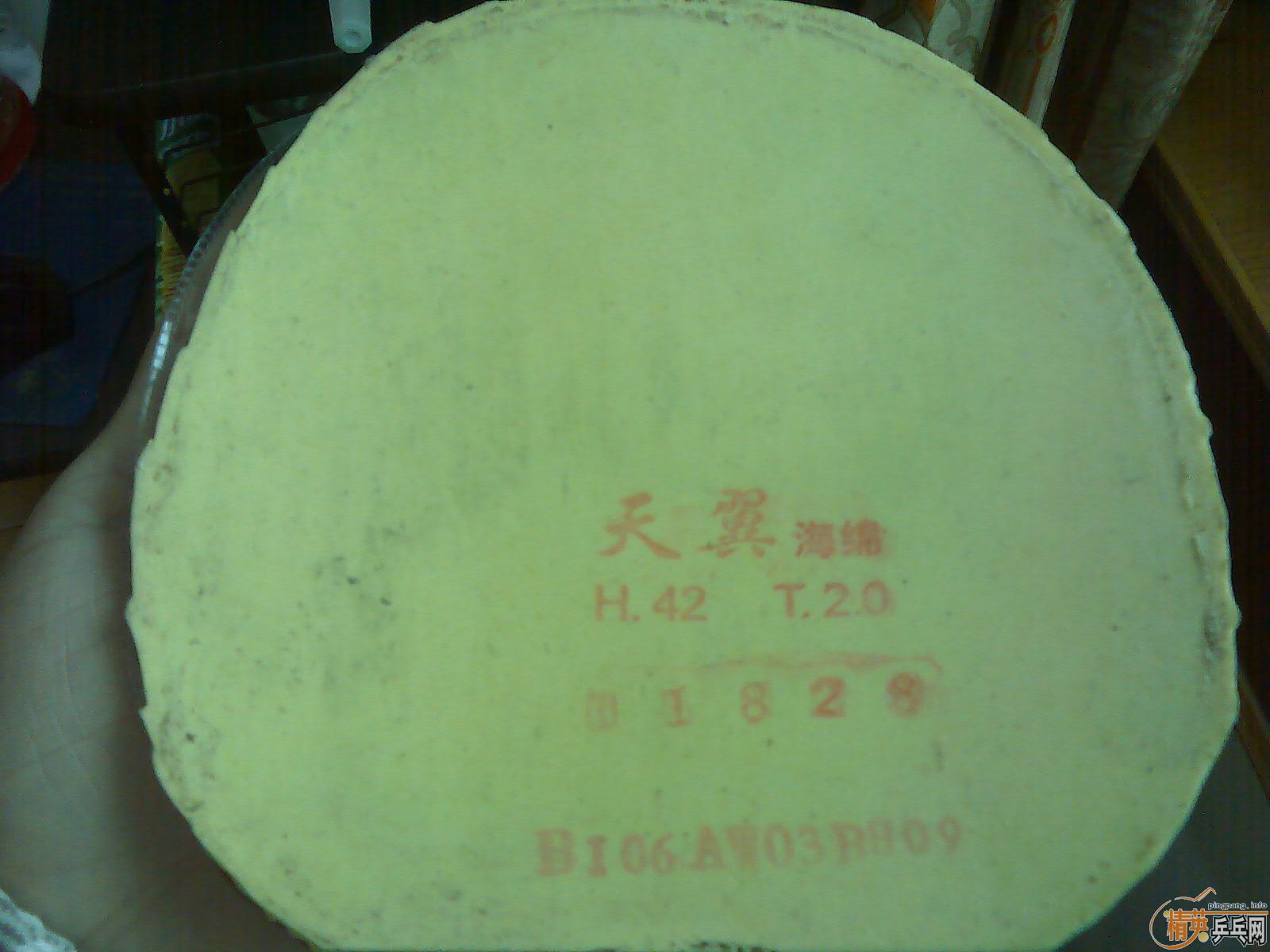 ���Լ����� ��ֱ��  ���ھ�����  ��ϳ�Щ��Ƥ