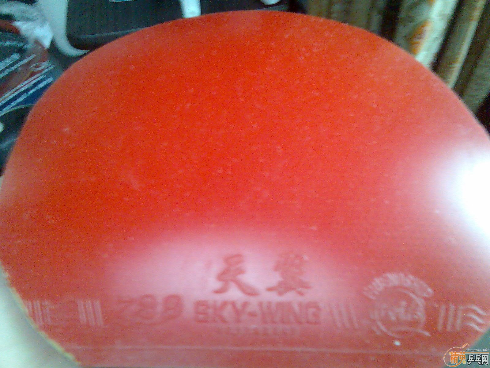 ���Լ����� ��ֱ��  ���ھ�����  ��ϳ�Щ��Ƥ