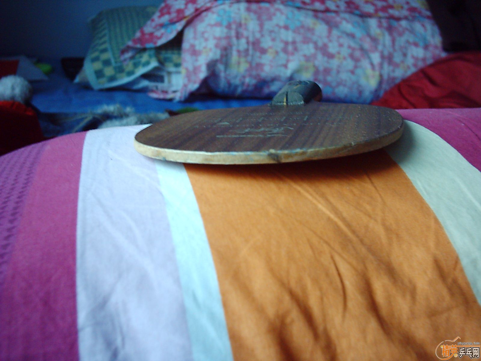 һֻרҵƷ�ʵ�------------------------�հ�YEO