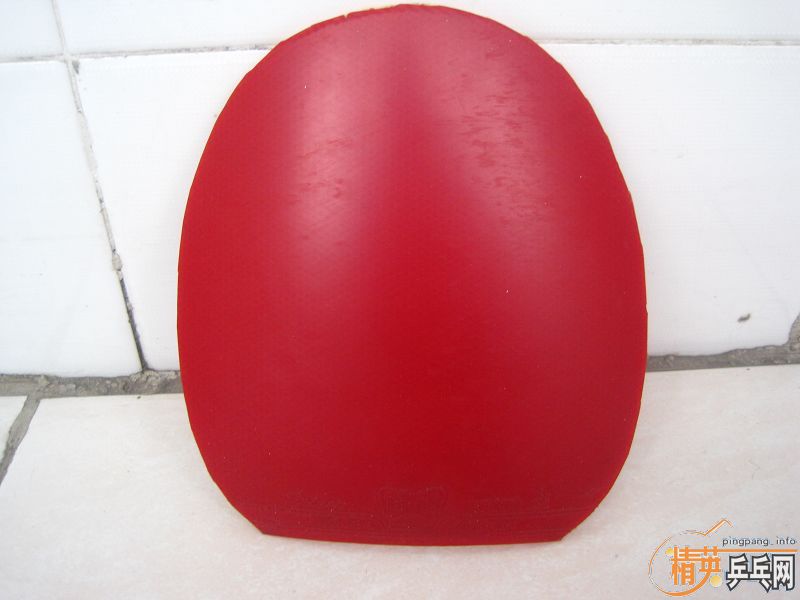 �����FL ͦ��֩���� 560����