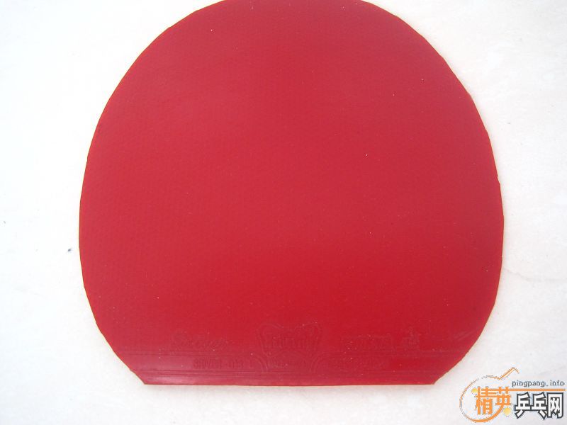 �����FL ͦ��֩���� 560����