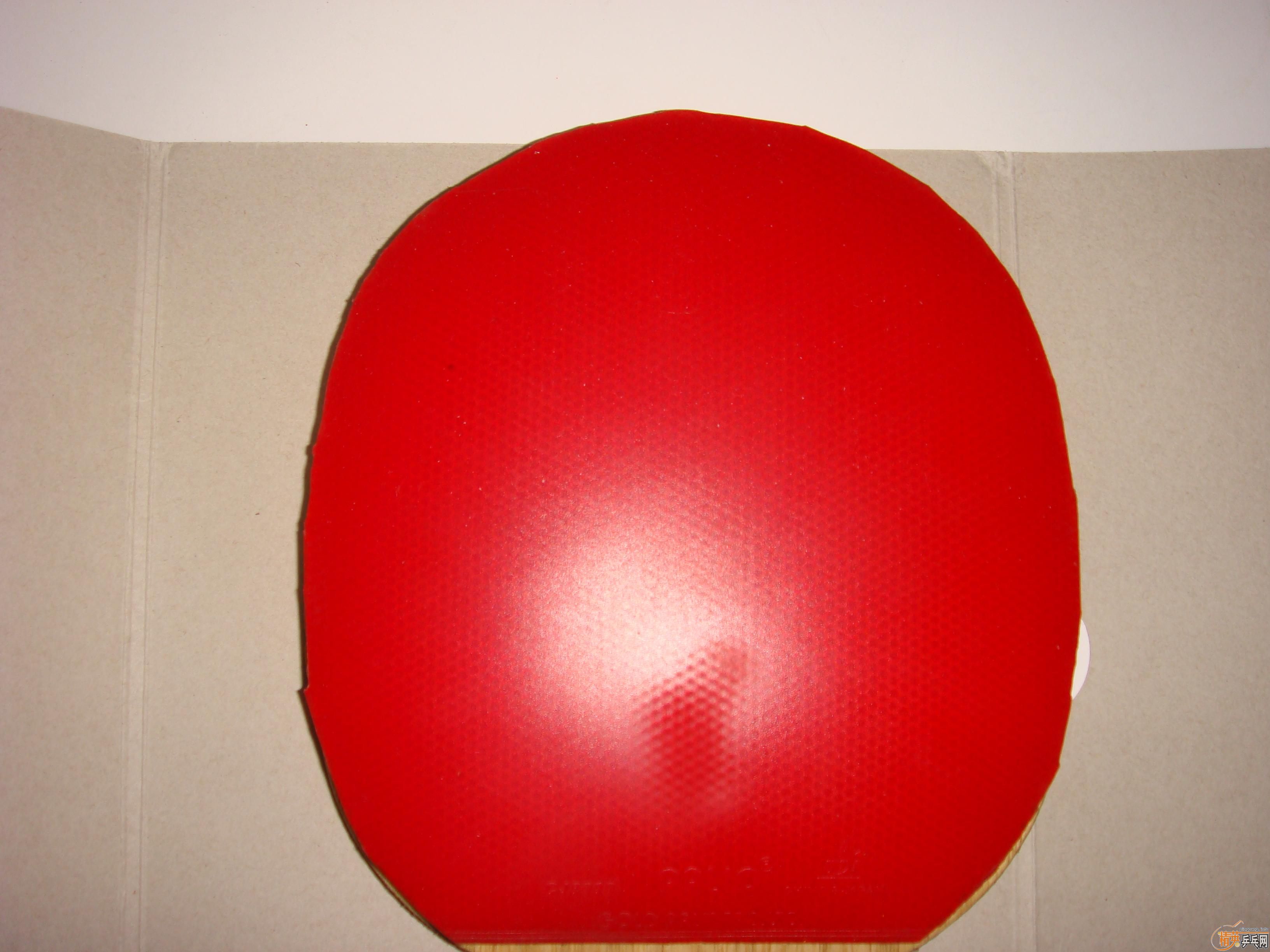 �����׽�