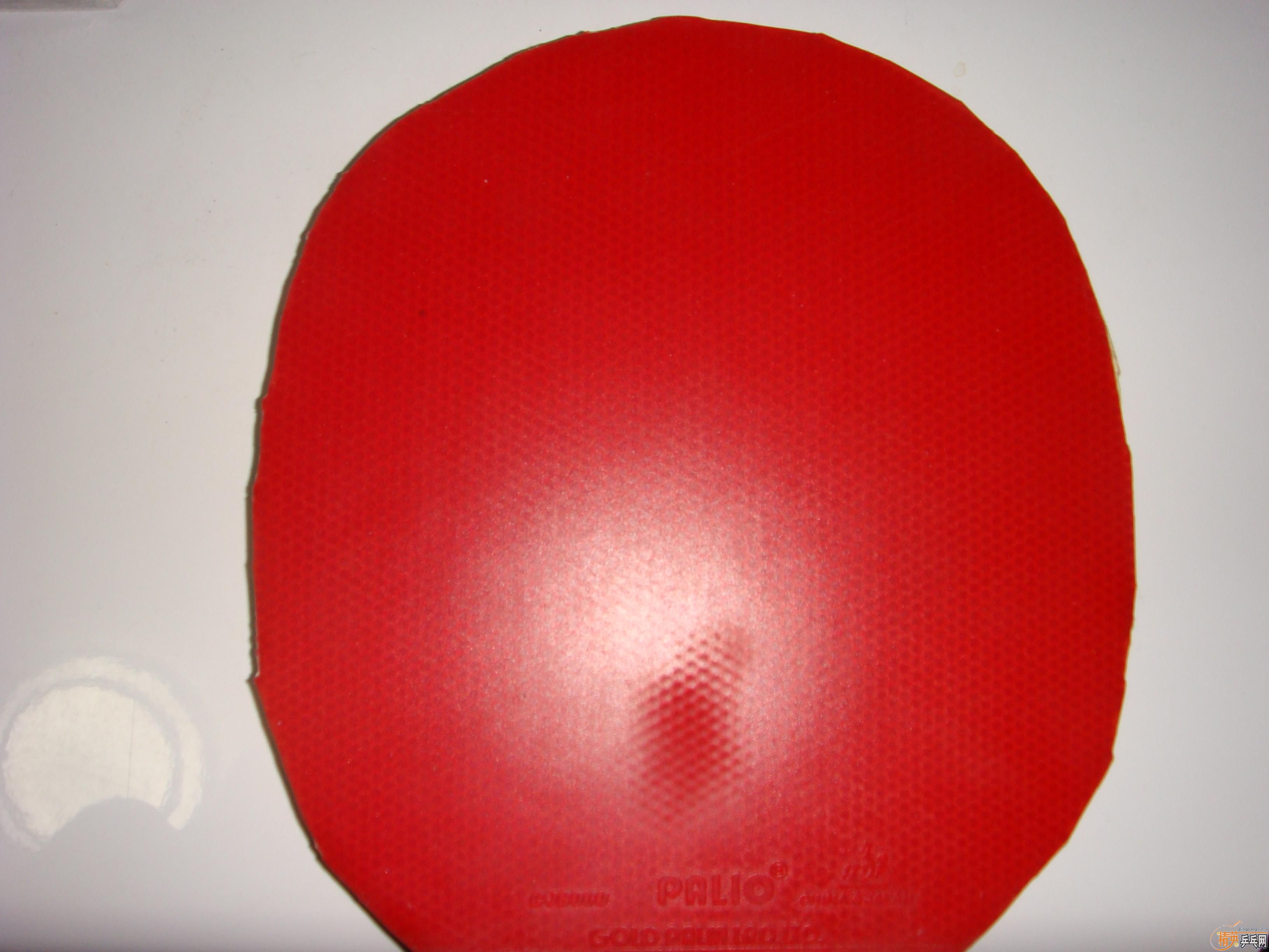 �����׽�