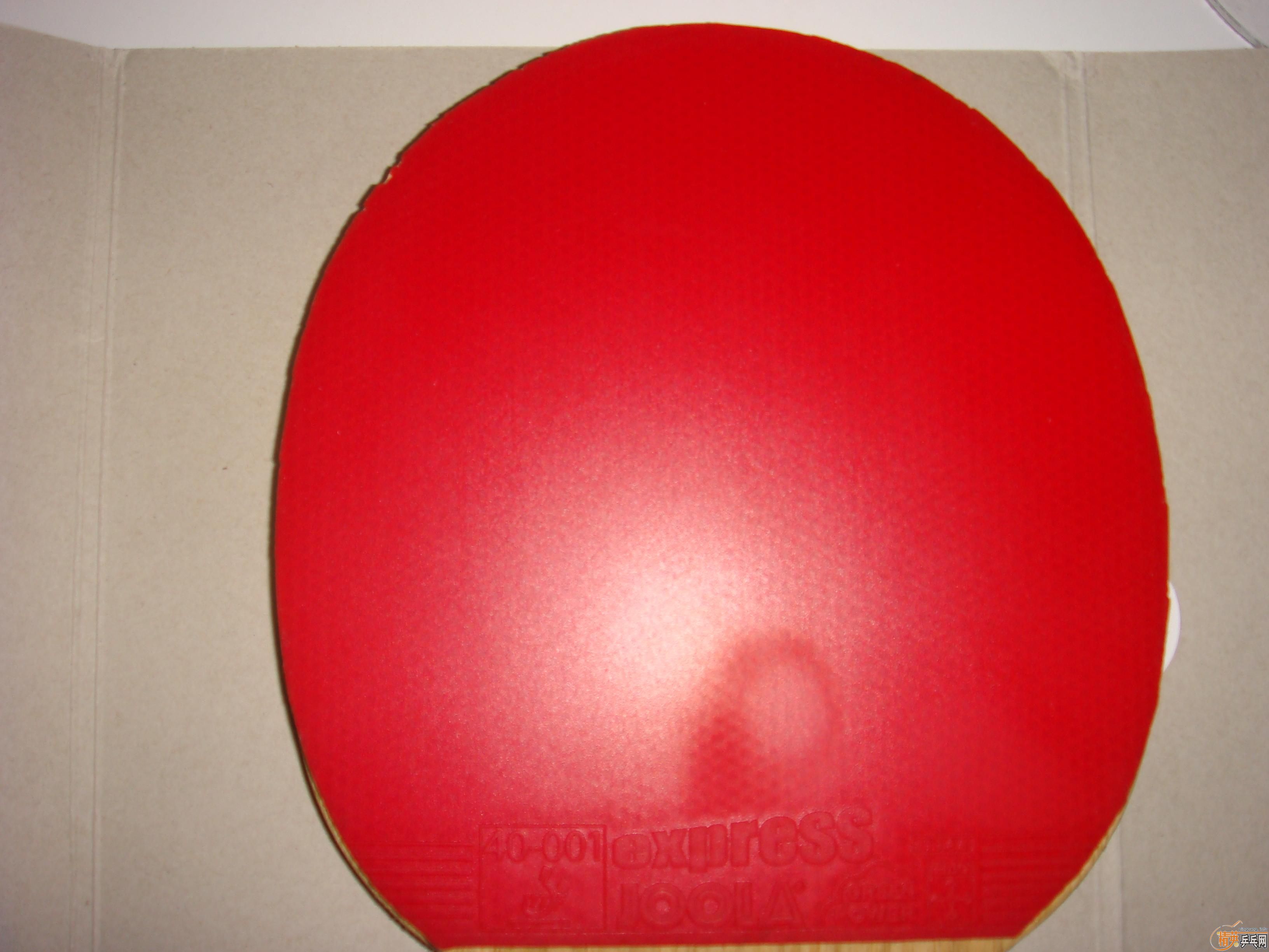 �����׽�