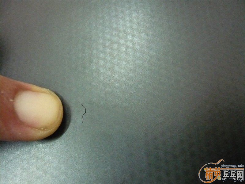 ������,G666,��ܦbryce-speed-fx,ͦ��sinus74-001����