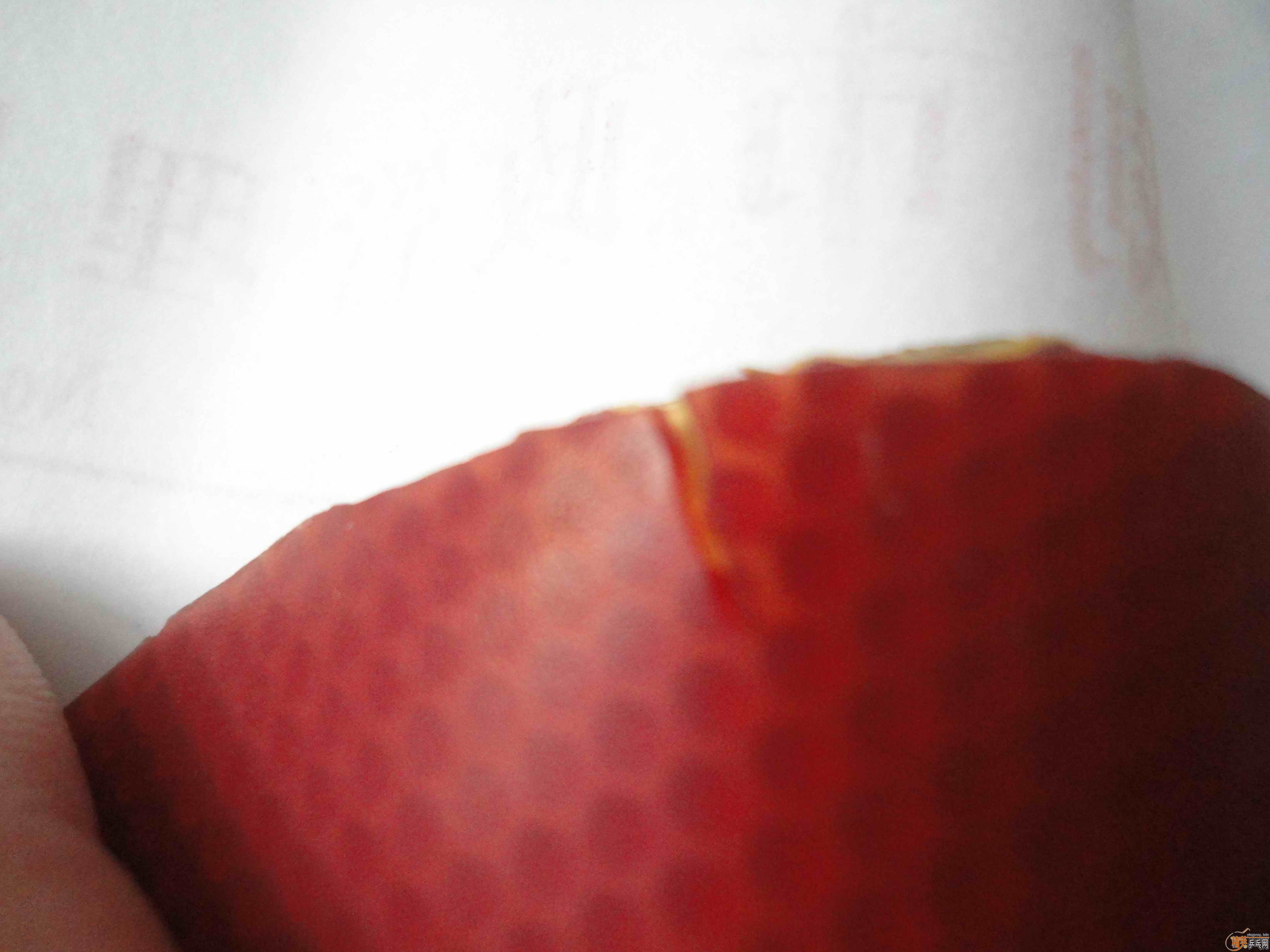 �л�ʡ���޻�ʡ��39�Ƚ�Ƥ����