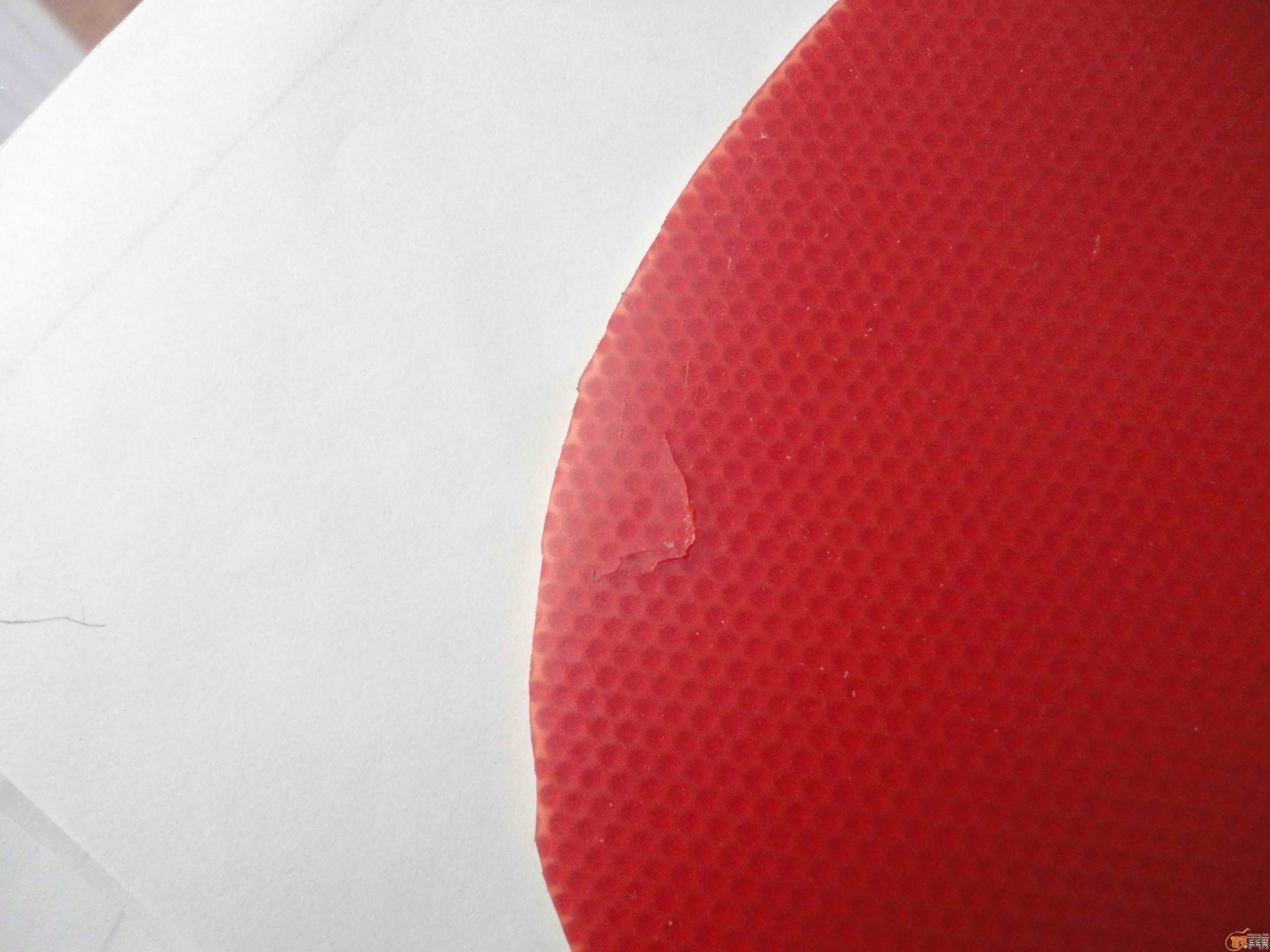 �л�ʡ���޻�ʡ��39�Ƚ�Ƥ����