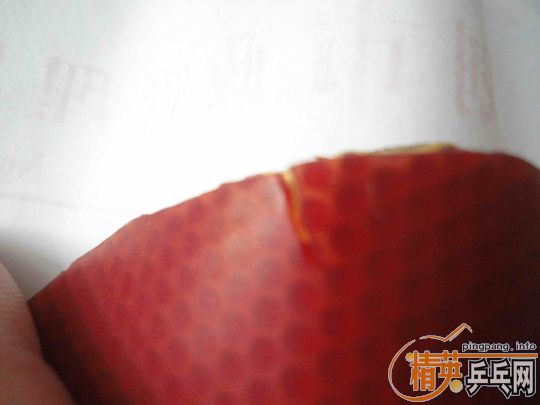 �л�ʡ���޻�ʡ��39�Ƚ�Ƥ\��ͦ��SINUS  ALPHA��Ƥ