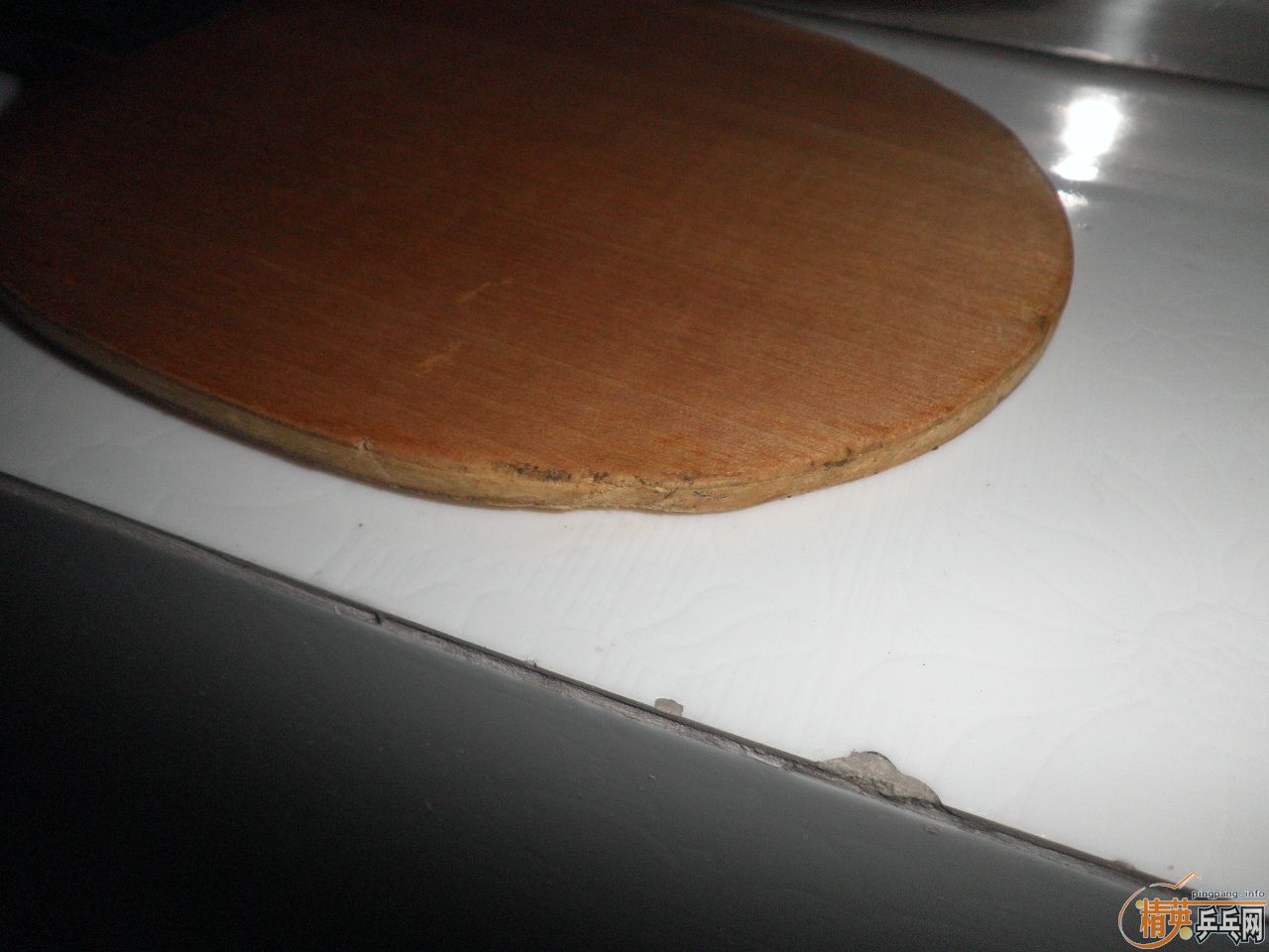 250�������ͤYE,������ZAP�׽�(��֧����)