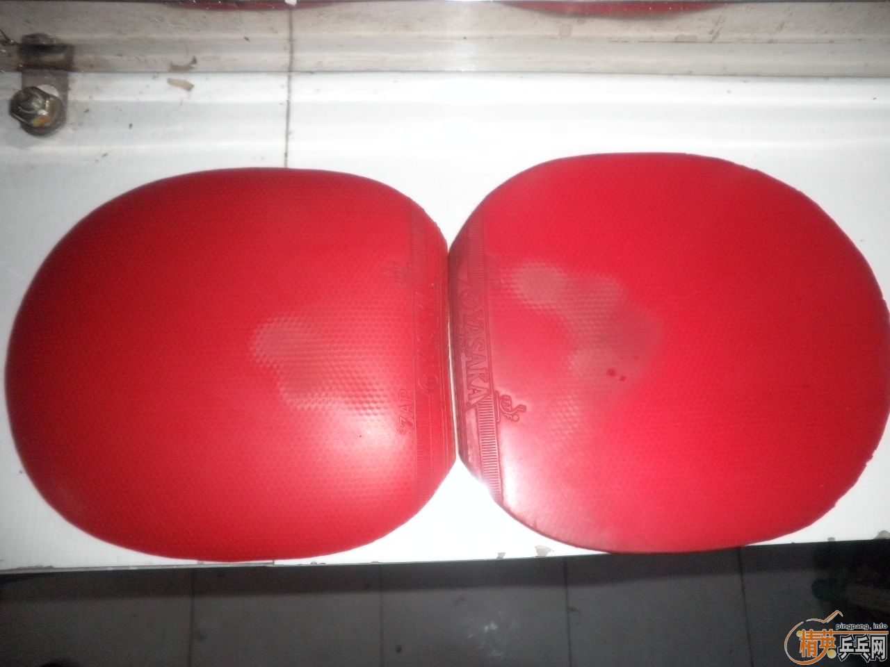 250�������ͤYE,������ZAP�׽�(��֧����)