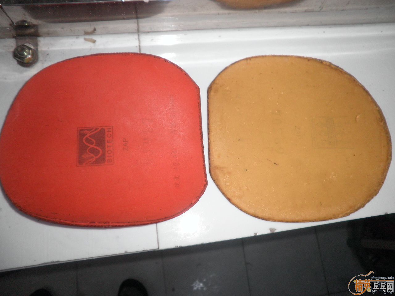 250�������ͤYE,������ZAP�׽�(��֧����)