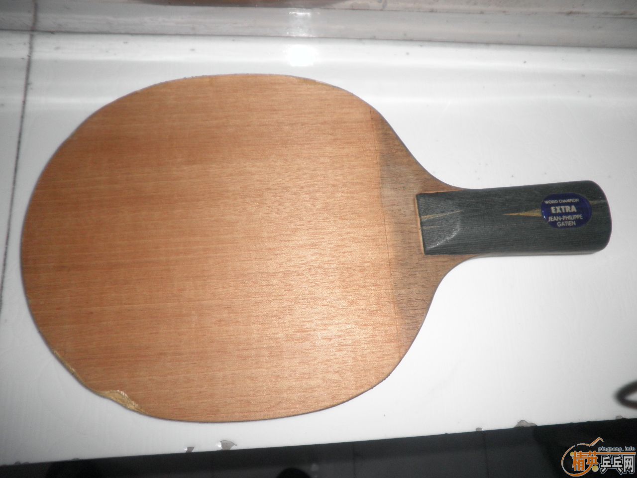 250�������ͤYE,������ZAP�׽�(��֧����)