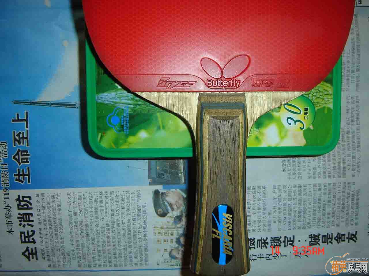 ֧������������VISCARIA������δ��������