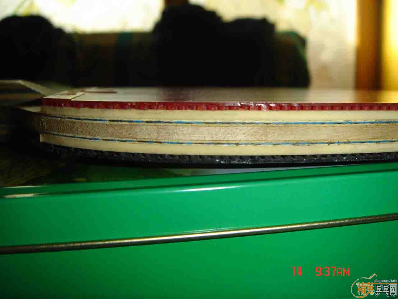 ֧������������VISCARIA������δ��������