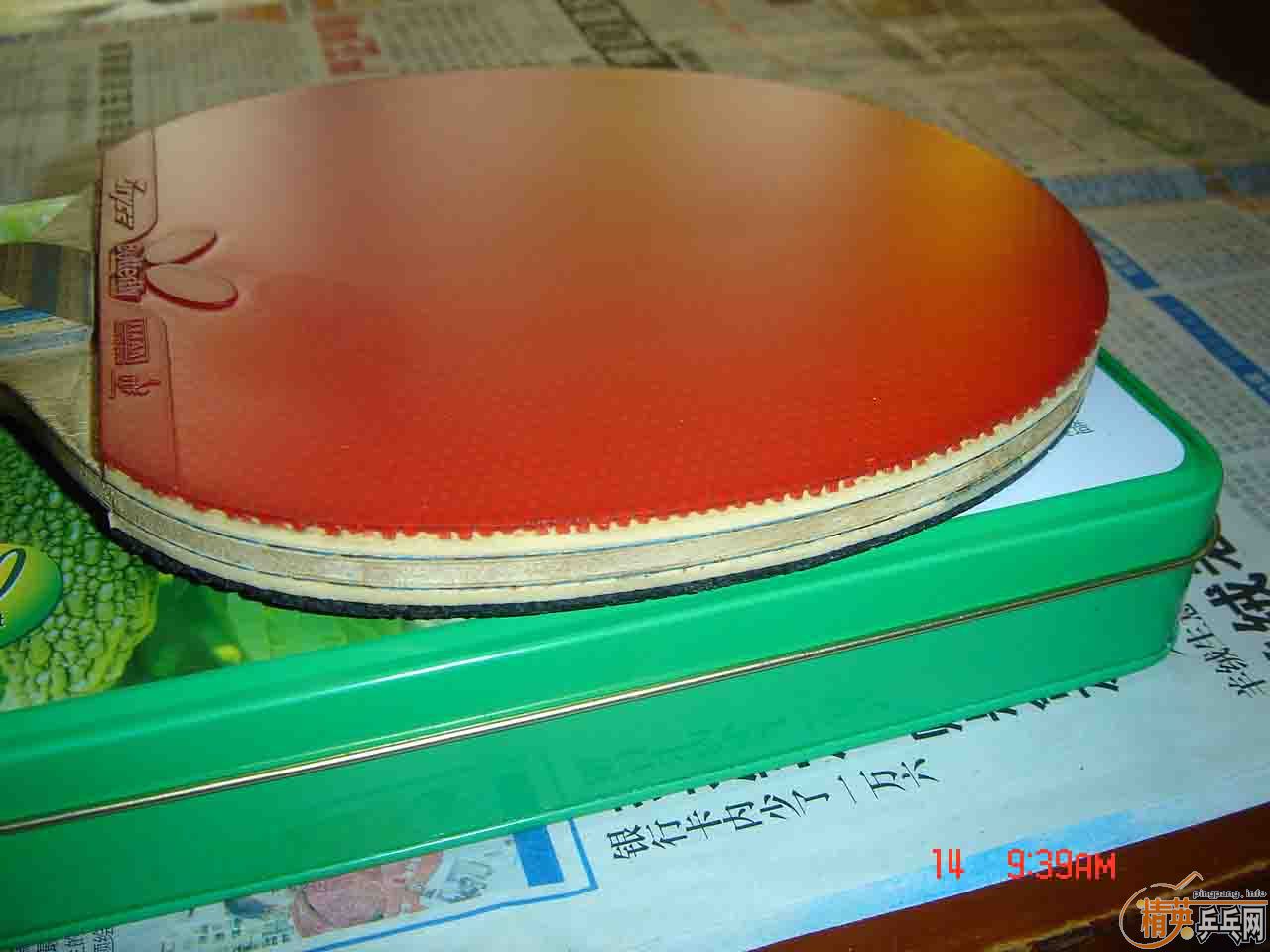 ֧������������VISCARIA������δ��������