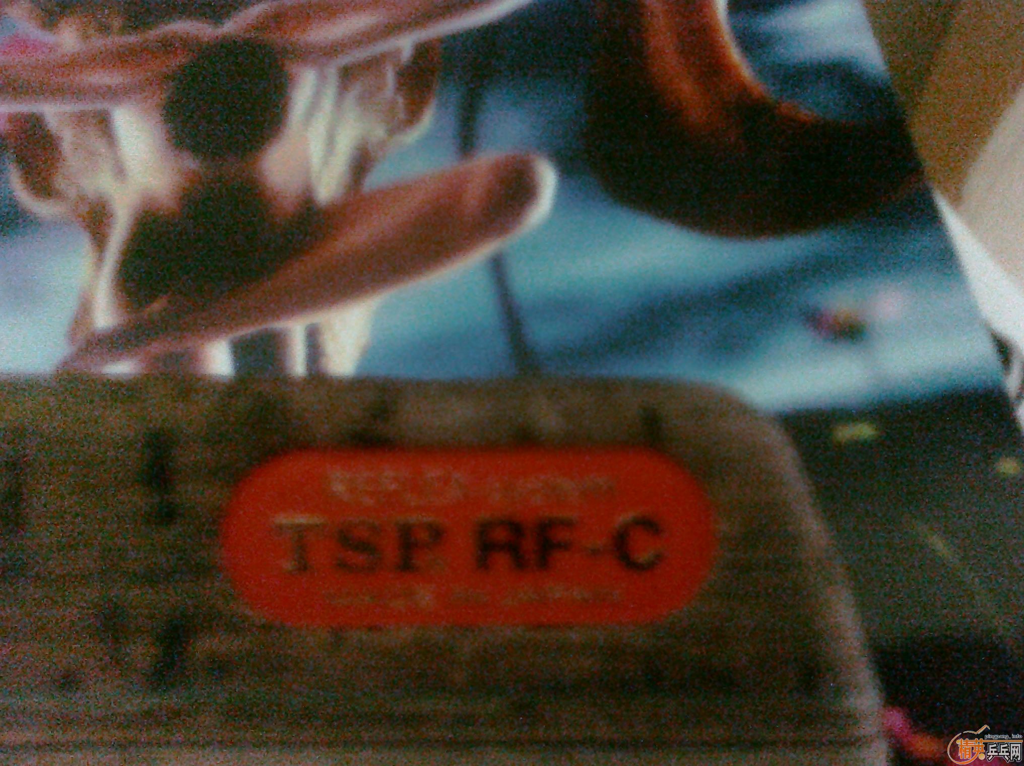 [����]�����ģ����ܵľ�Ӣƹ��������˭�У�