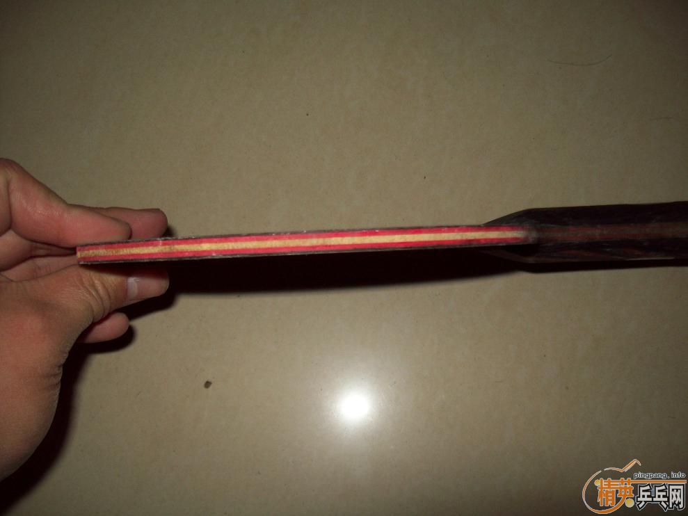 ��ŷ����ı��ĺ��̼����FL�������۸�220����