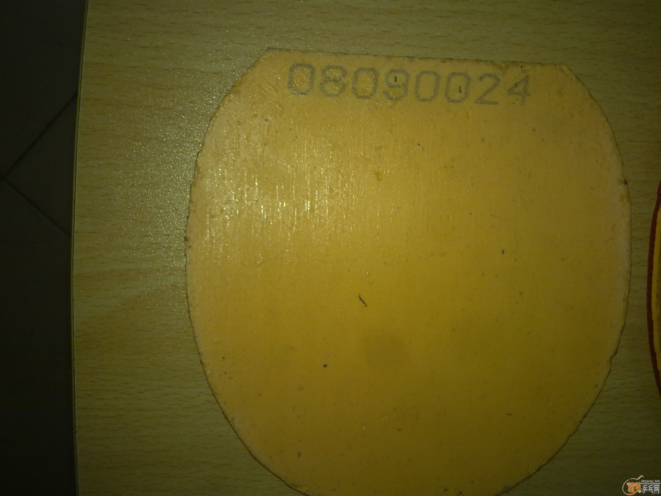 �������׽���T64��������켫����˹����G2��