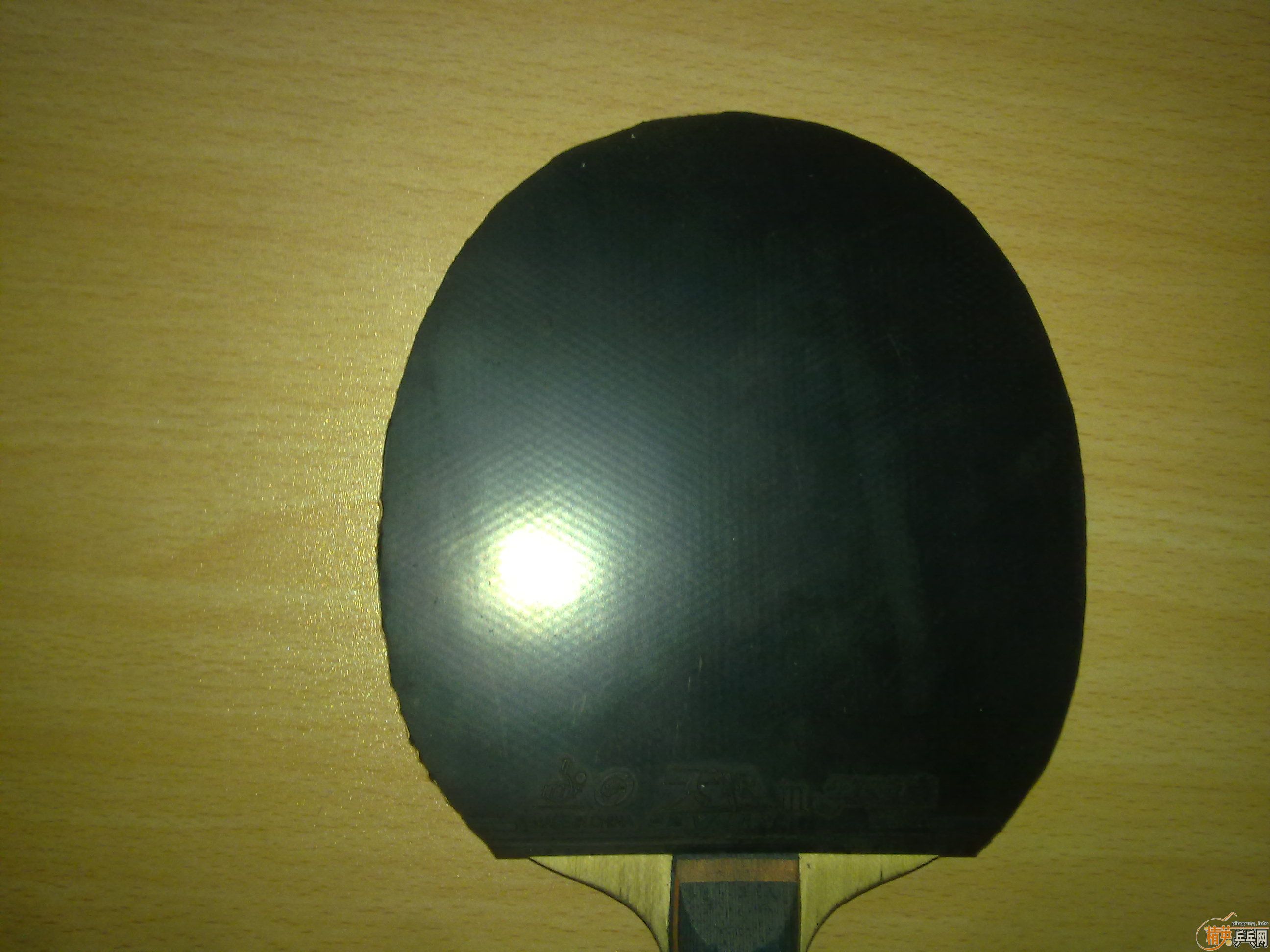 �������׽���T64��������켫����˹����G2��